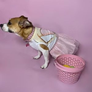 Ballerina dog dress